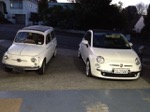 fiat car